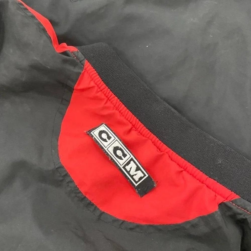 NHL vintage detroit